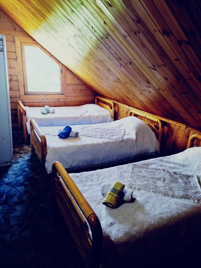 Guest House Astrit Villi テス エクステリア 写真